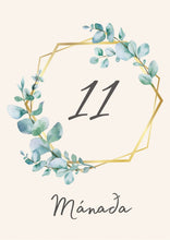 Load image into Gallery viewer, Mánaðarspjöld - Val um 3 liti