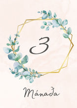 Load image into Gallery viewer, Mánaðarspjöld - Val um 3 liti