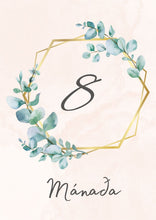 Load image into Gallery viewer, Mánaðarspjöld - Val um 3 liti